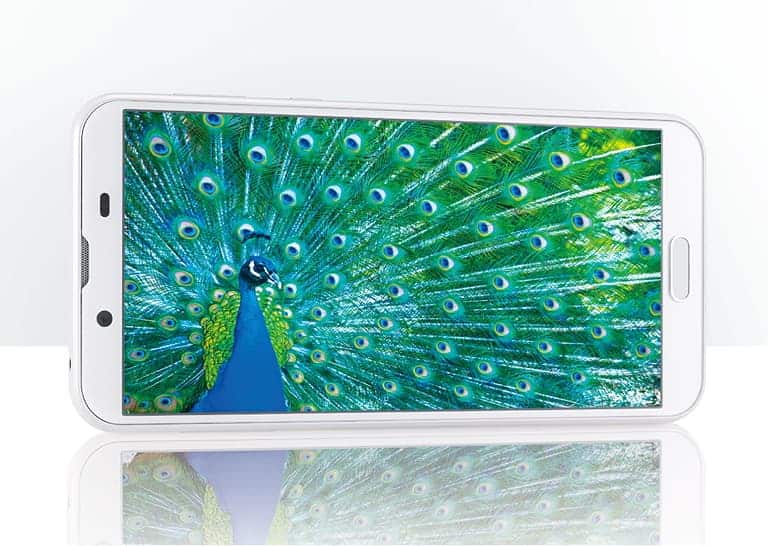5.5 inch 2160x1080 screen on Sharp SHV43