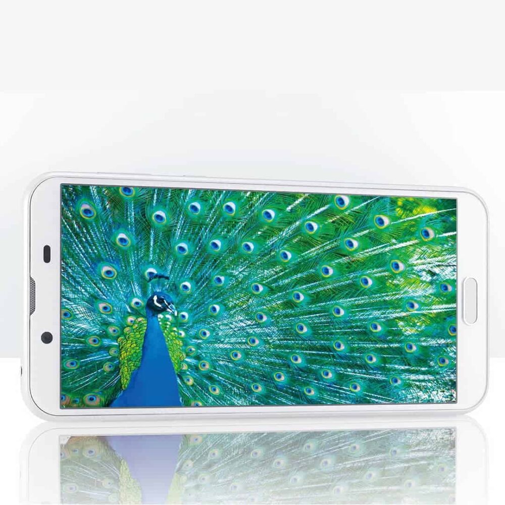 5.5 inch 2160x1080 screen on Sharp SHV43